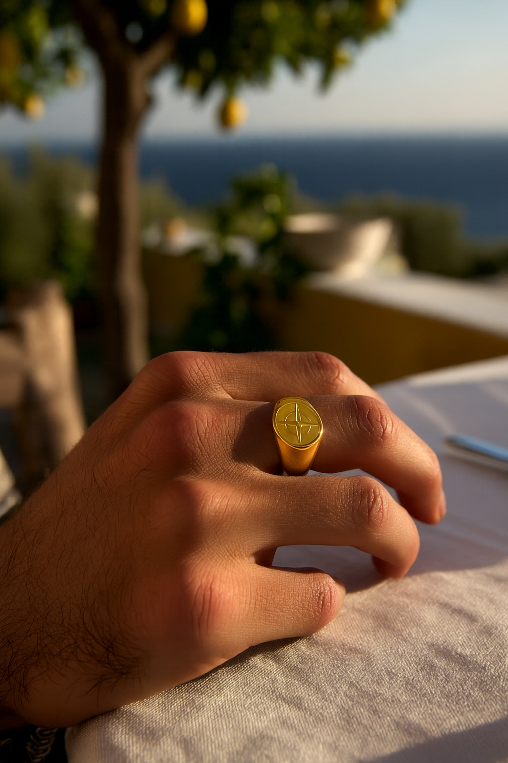 Compass Ring | PVD Gold